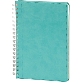 Pendik-TRK Spiralli Günlük Ajanda