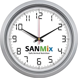 V30-551-G Plastik Duvar Saati